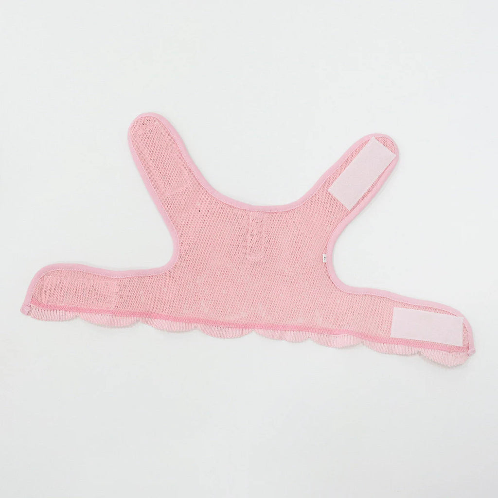 Lace Harness Dress & Leash Set