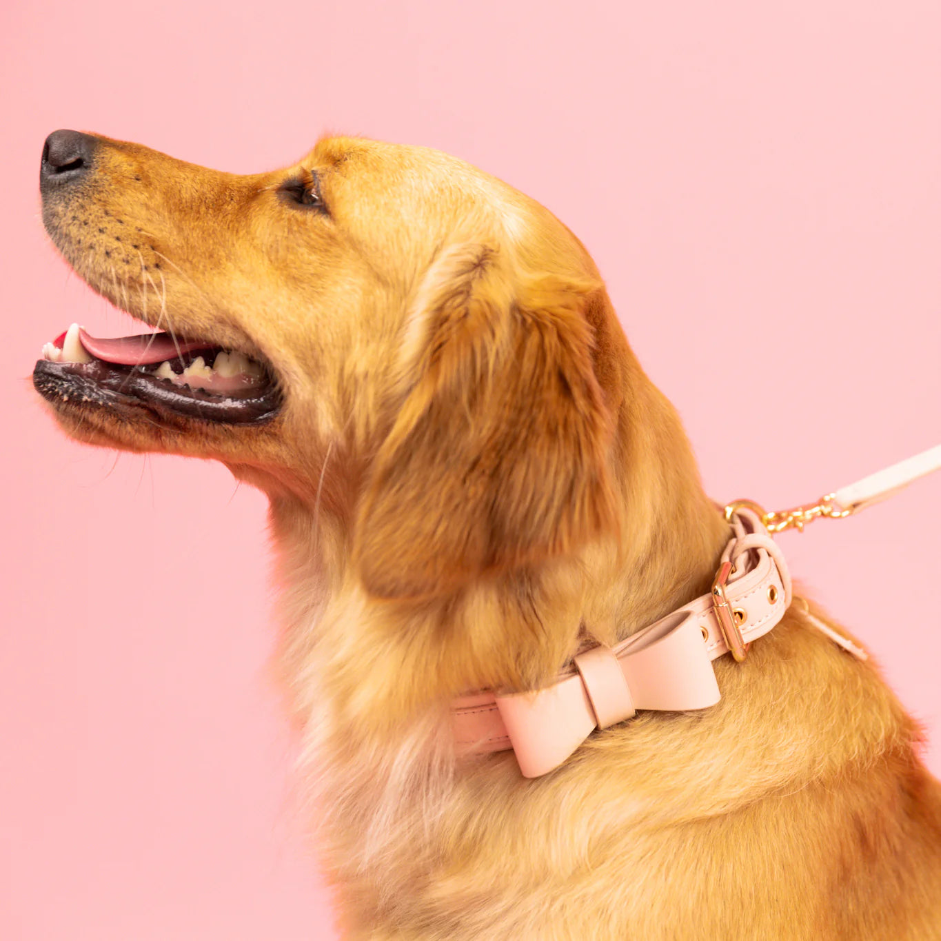 Rose Quartz - Vegan Leather Collar