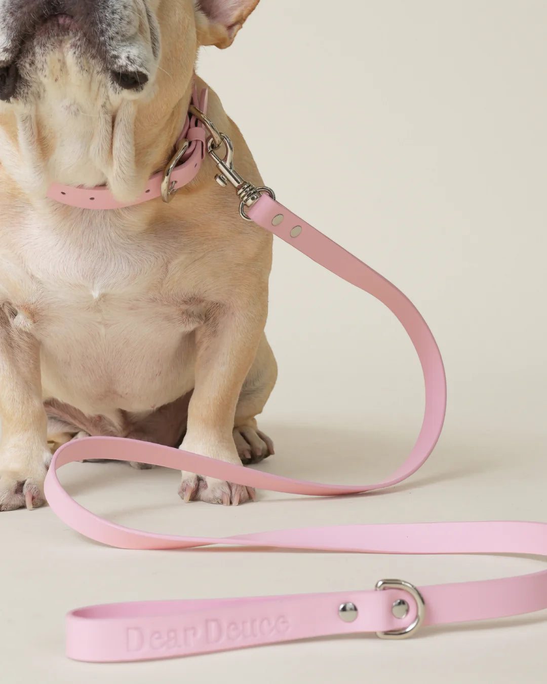 Princess Leash