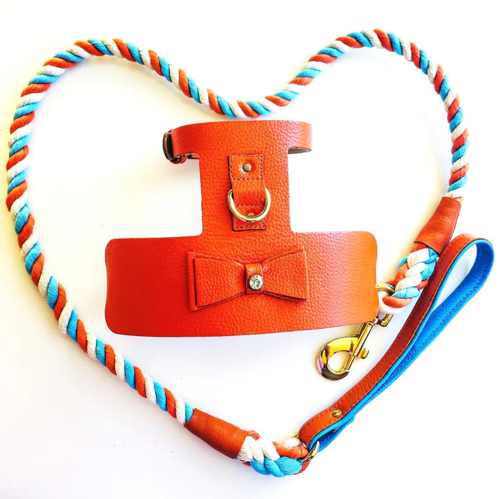 Handcrafted Leather Harness