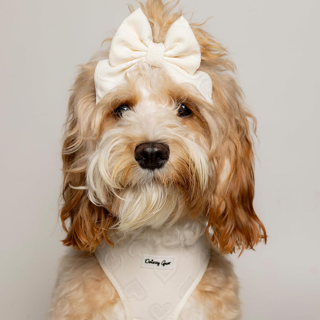 Signature Pink Hearts Luxury Walk Set — Large Harness, Leash, Collar, Bandana & Bow