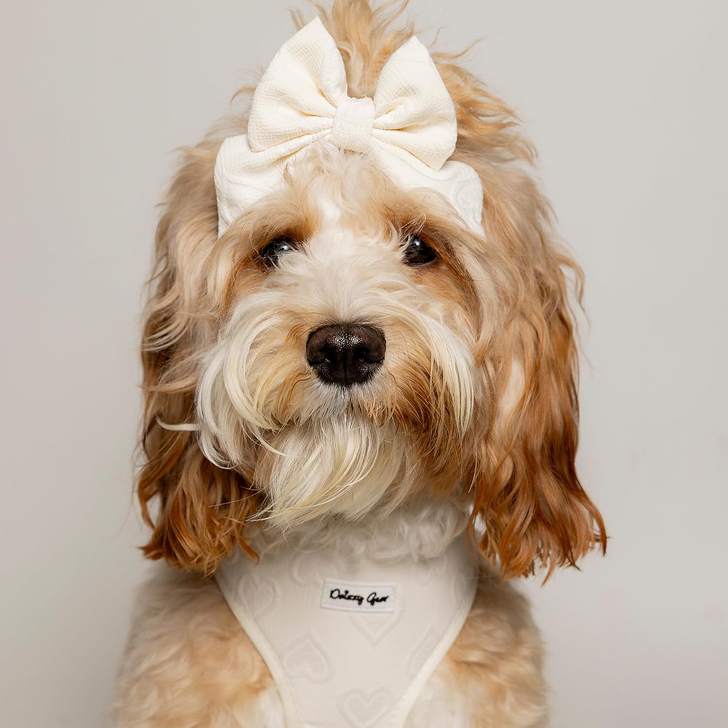 Signature Pink Hearts Luxury Walk Set — Large Harness, Leash, Collar, Bandana & Bow