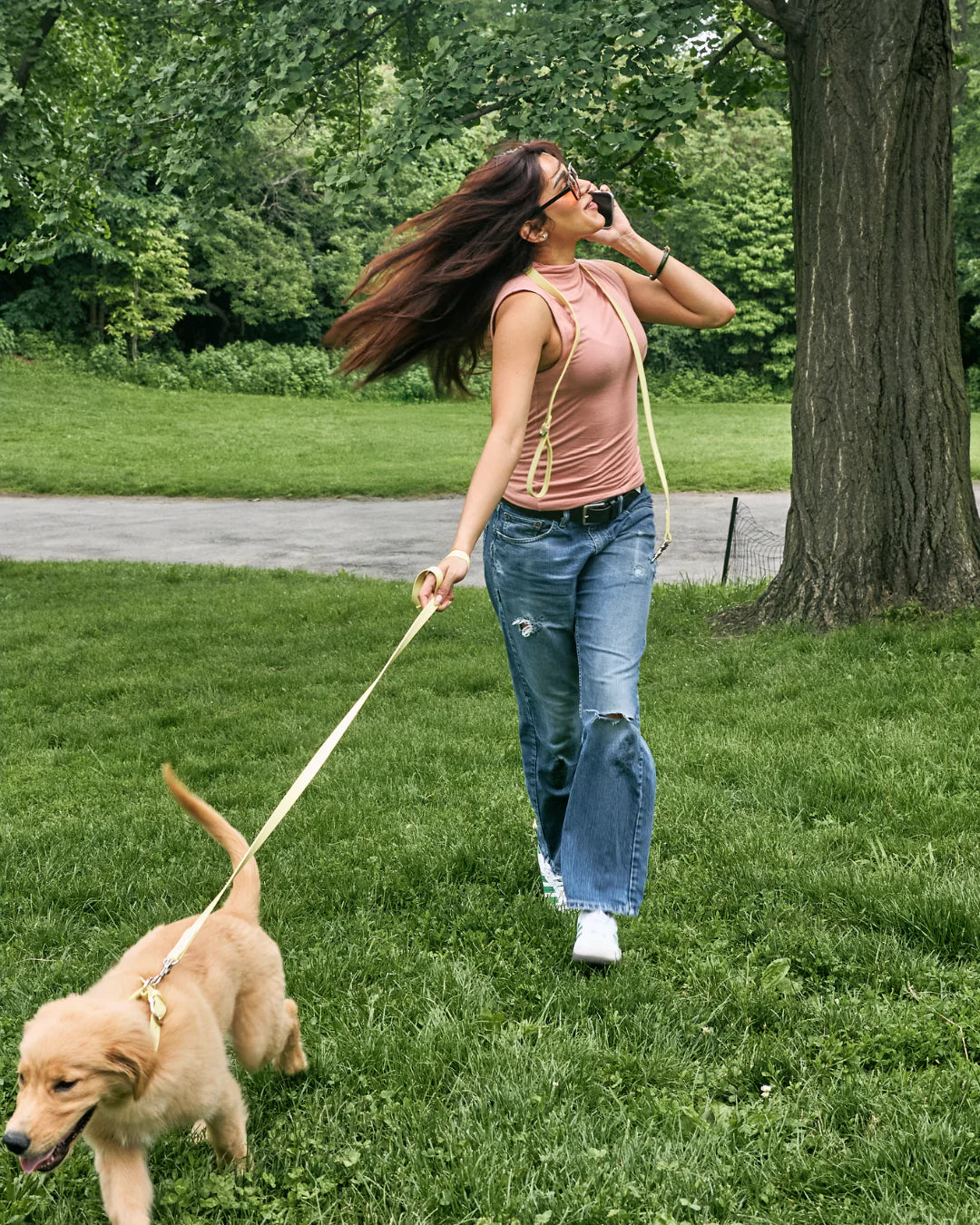 Social Butterfly Leash
