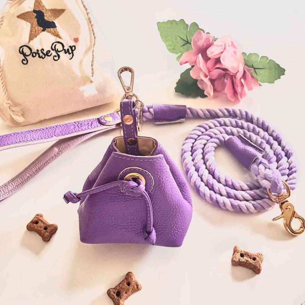 Luxe Leather Treat & Training Pouch