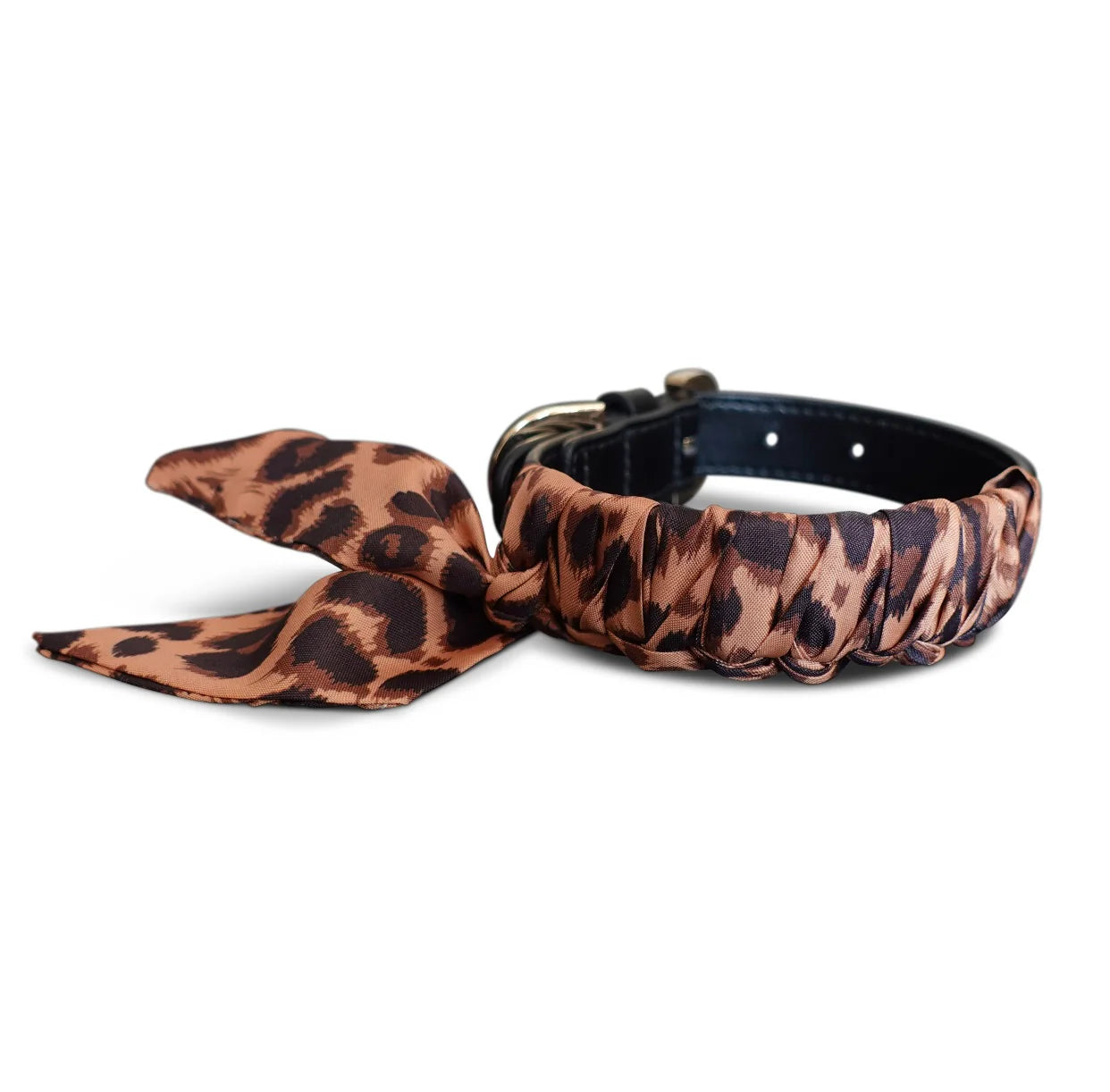Dog Collar Twilly Leo