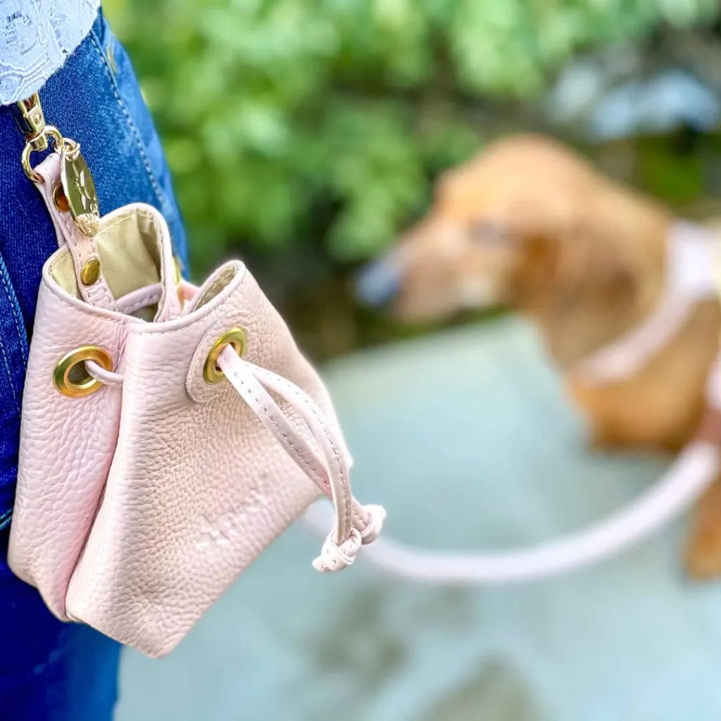 Luxe Leather Treat & Training Pouch