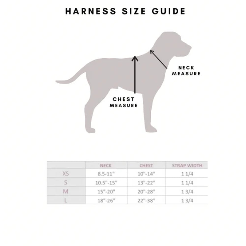 Comfort Teddy Harness - Creamy Cloud