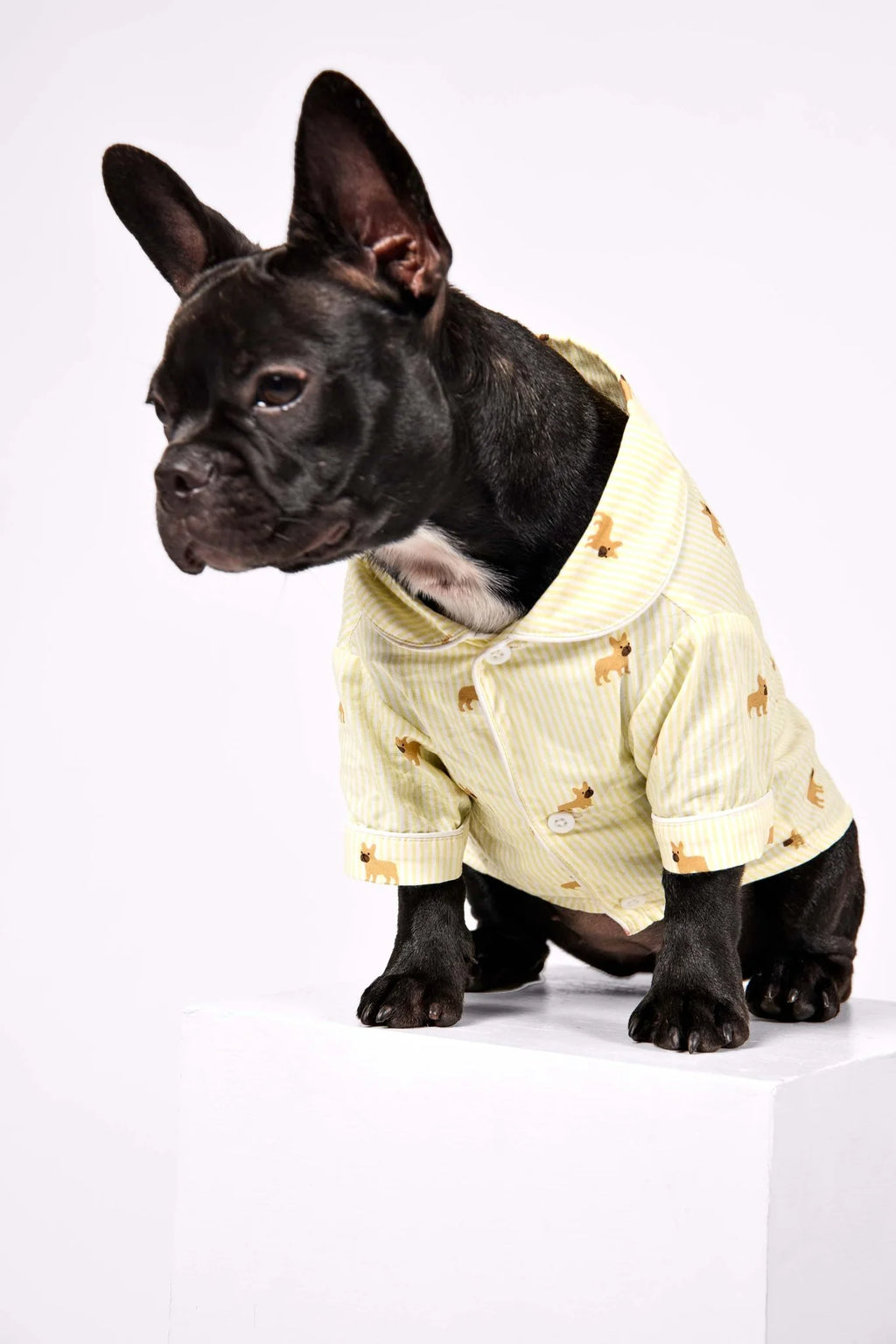 Frenchie Dog Pajama Shirt – Yellow & White