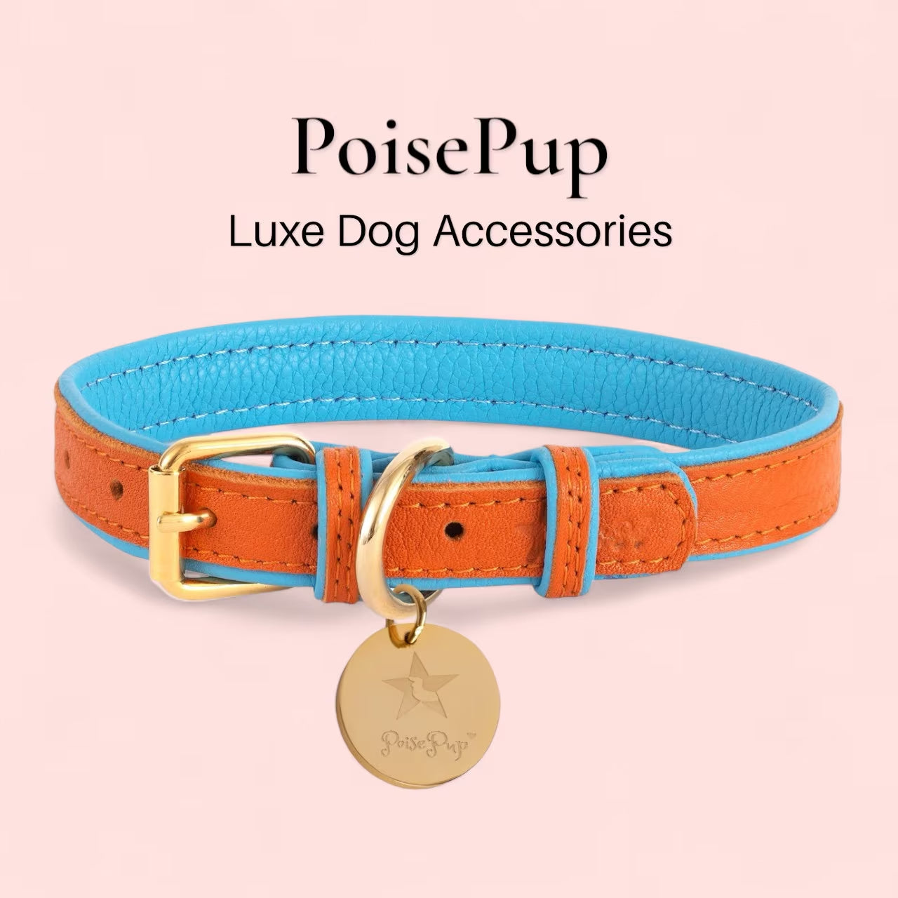 Handcrafted Leather Dog Collar
