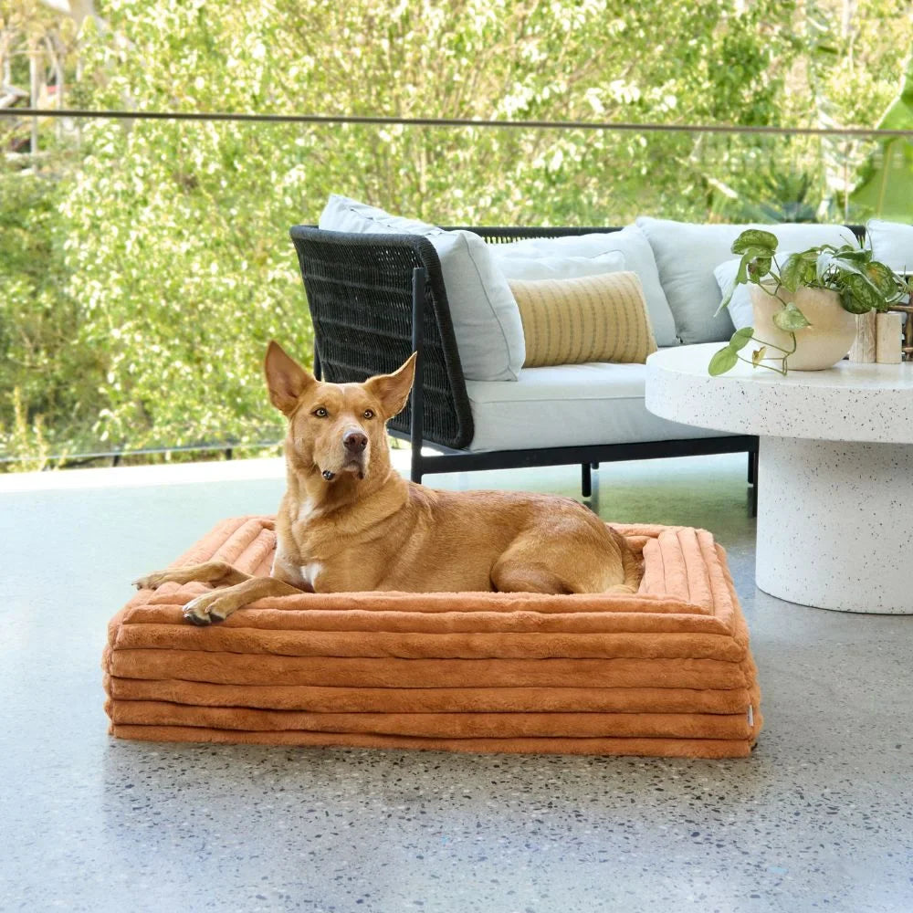 Memory Foam Dog Bed - Puffer Nutmeg