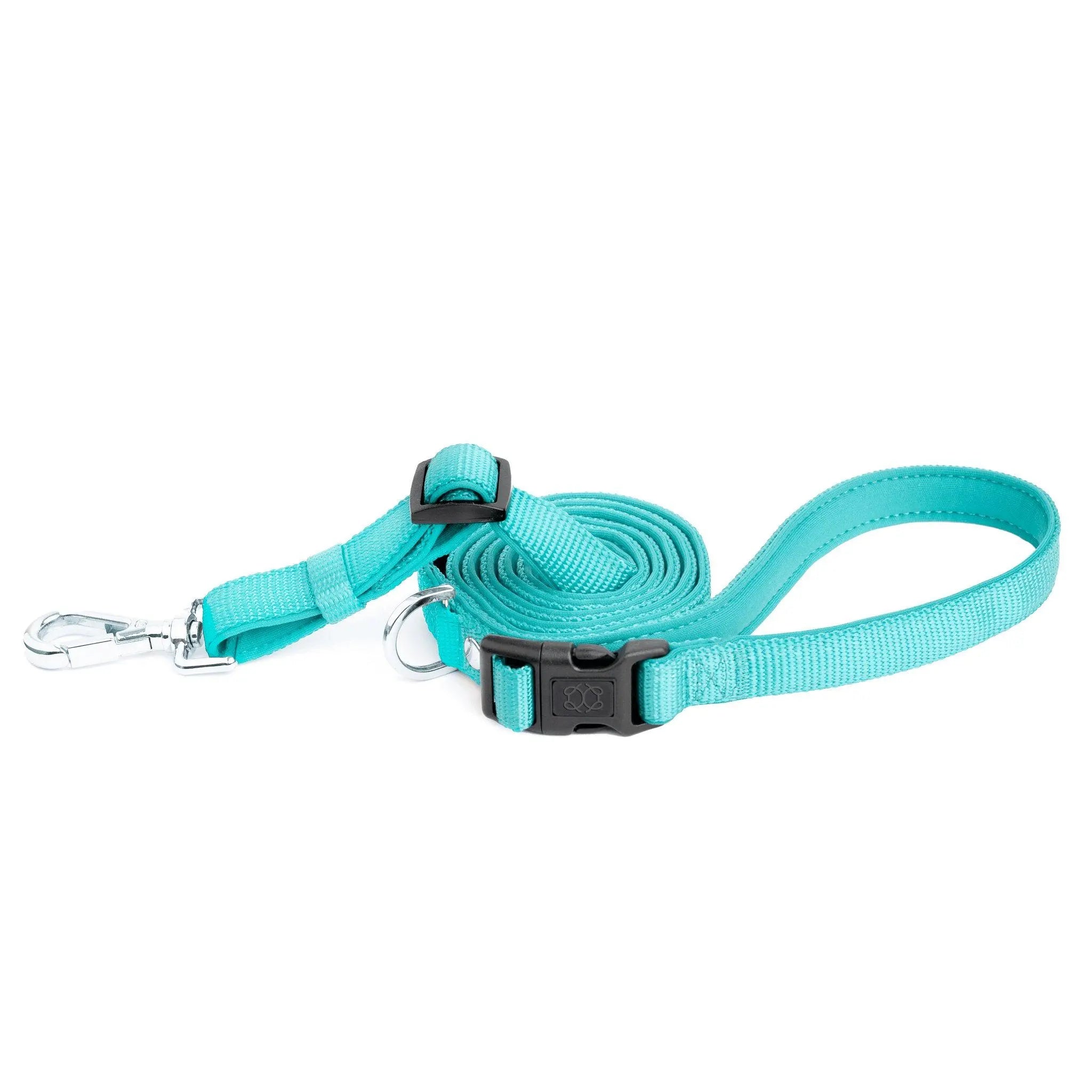 Soho Dog Walking Set - Fifth Avenue