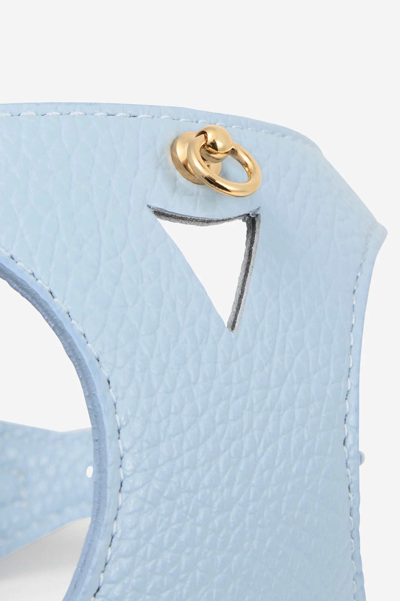 Sky Blue Juno Harness