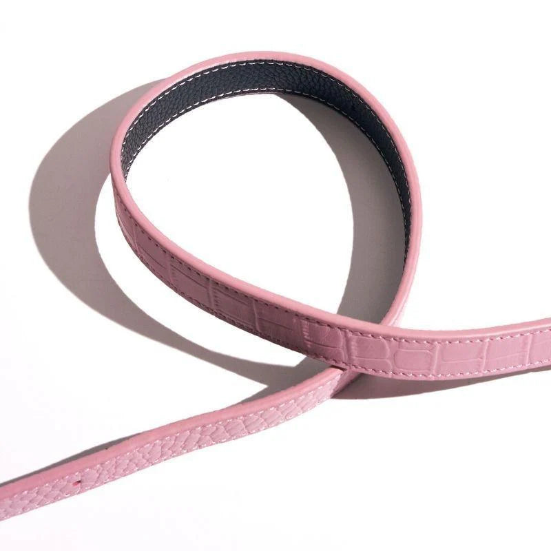Flamingo Leather Dog Leash