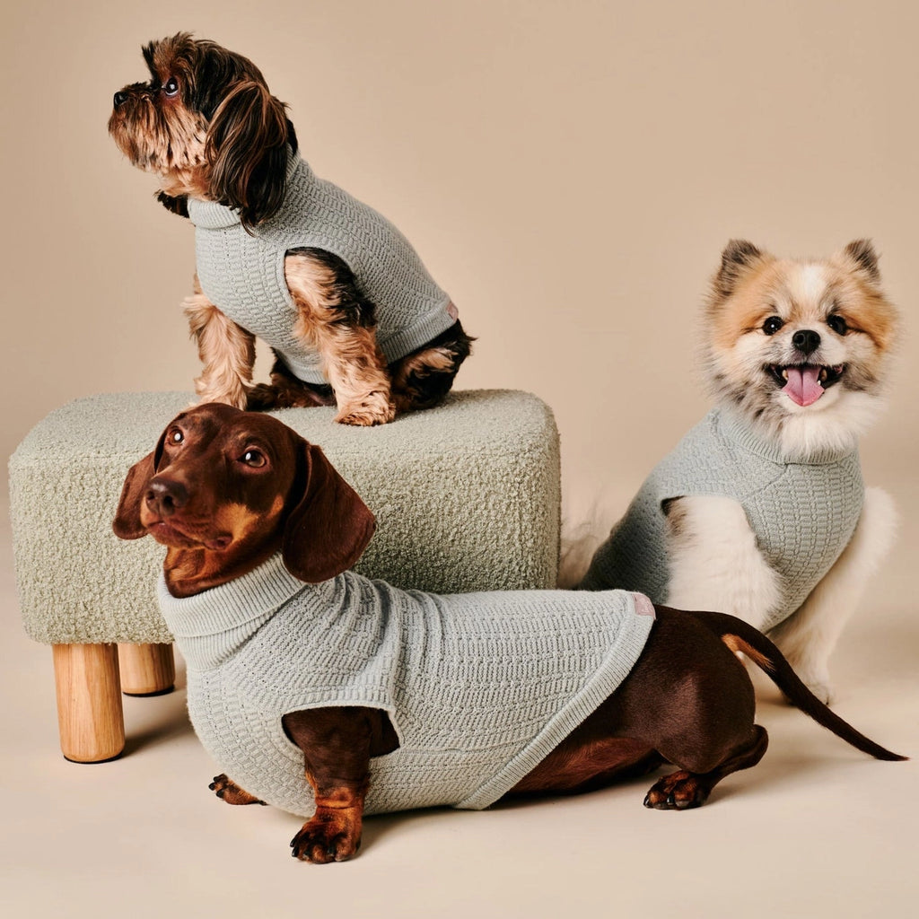 Coco Sweater – Green