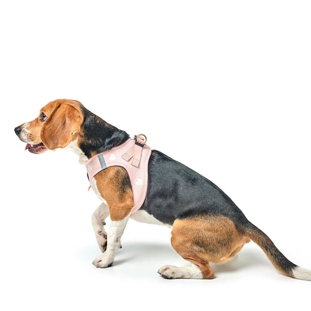 Soho Dog Harness - Sweetheart