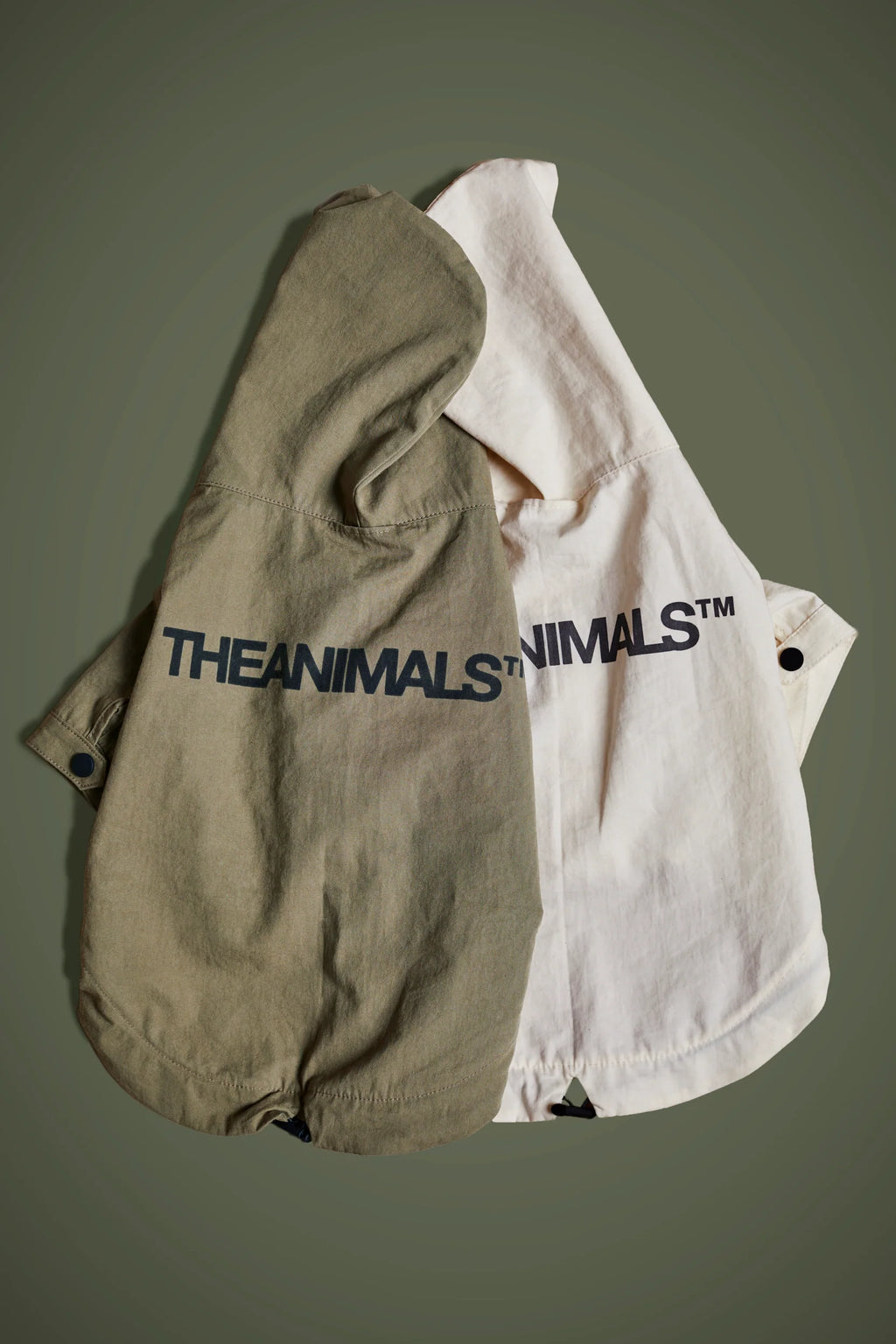 Logo Light Dog Coat - OYSTER