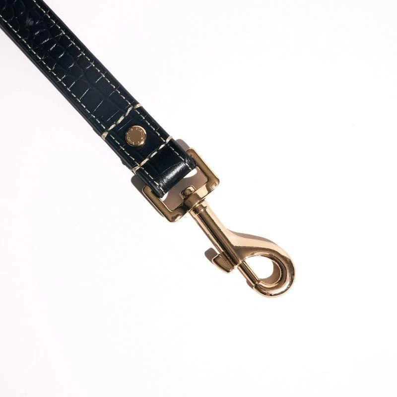 Obsidian Leather Dog Leash