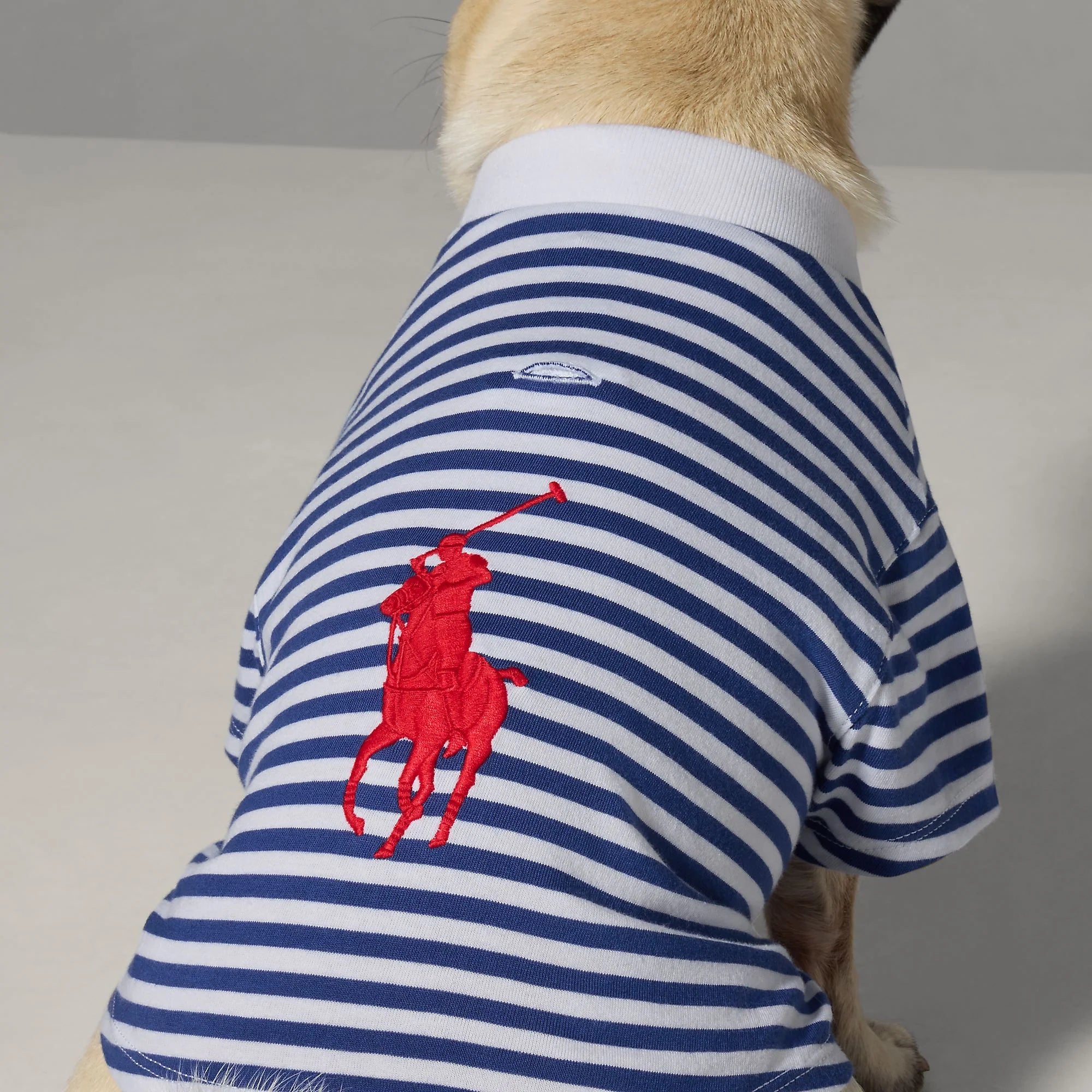 Polo Ralph Lauren Dog Polo Pony Stripe T-Shirt