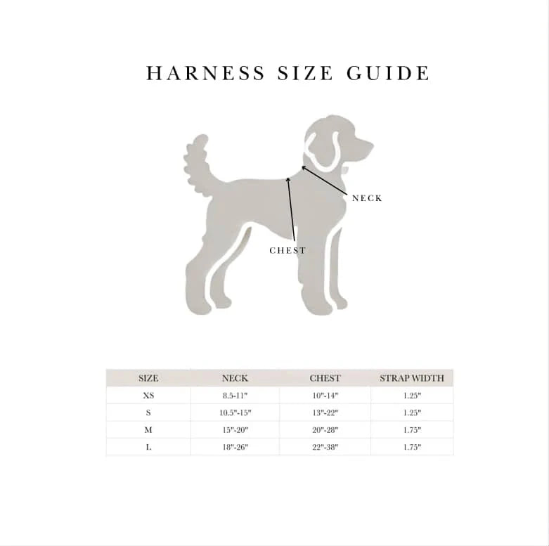 Comfort Furlowe Harness & Hands-Free Set - Mocha