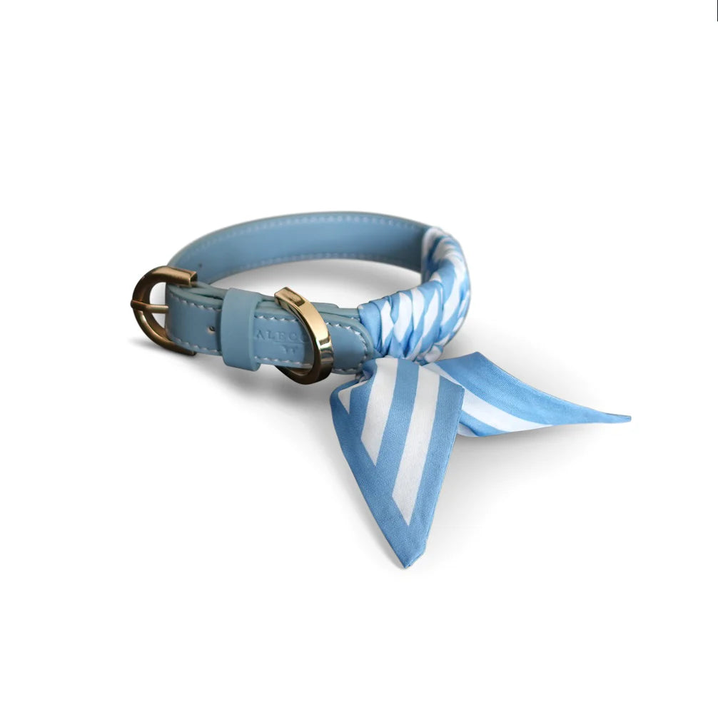 Dog Collar Twilly Stripes - Babyblue