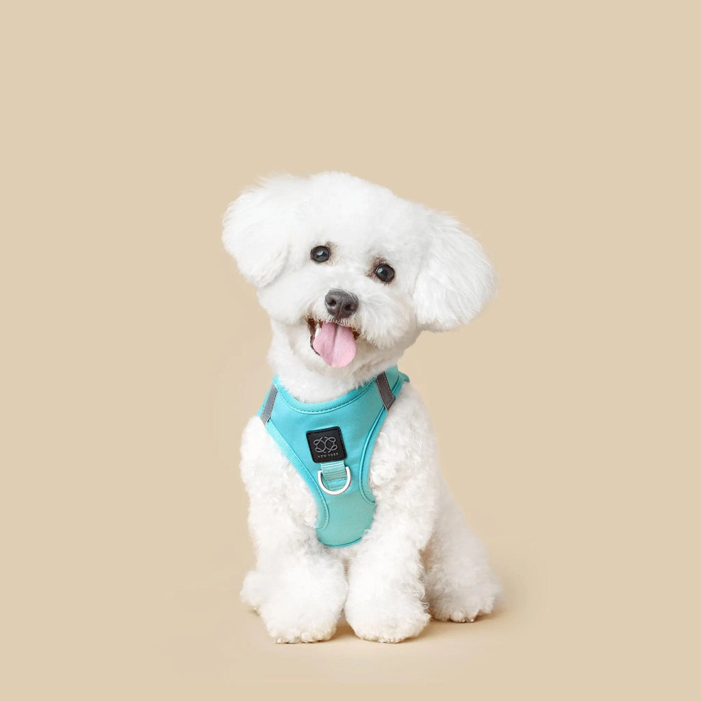 Soho Dog Walking Set - Fifth Avenue