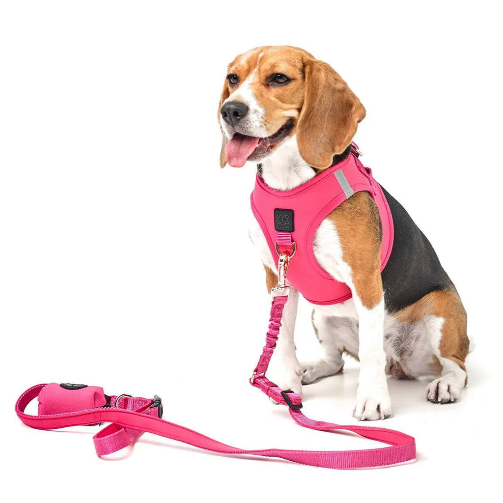 Soho Dog Walking Set - Park Ave Pink