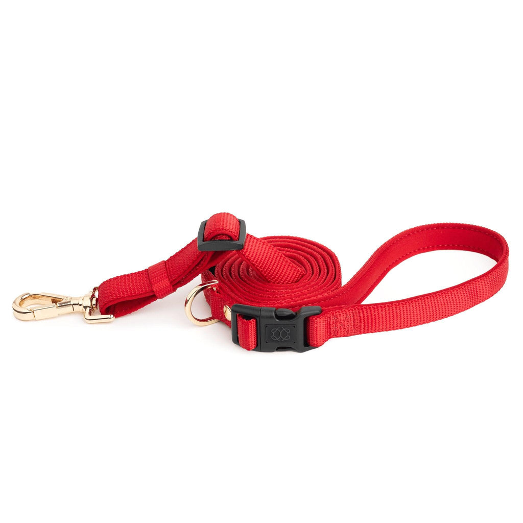 Soho Dog Walking Set - Iconic Red