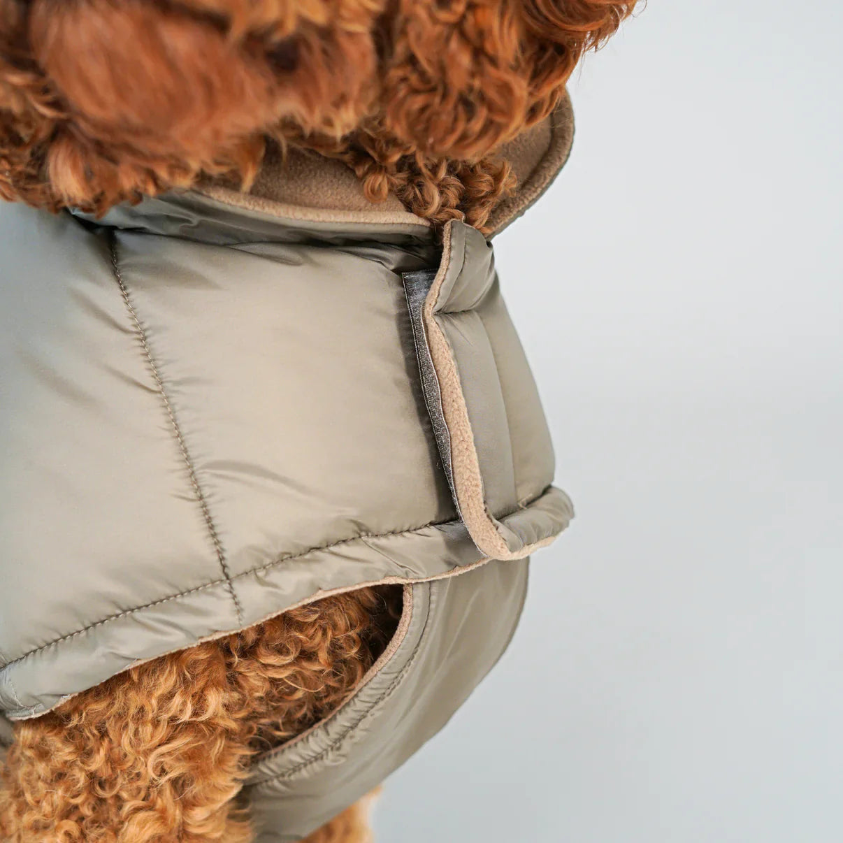 Nora Dog Coat | Nature