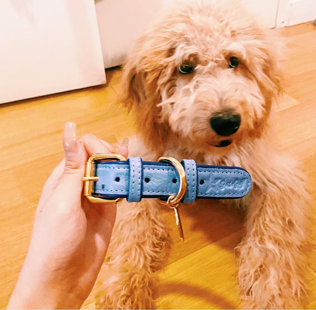 Handcrafted Leather Dog Collar