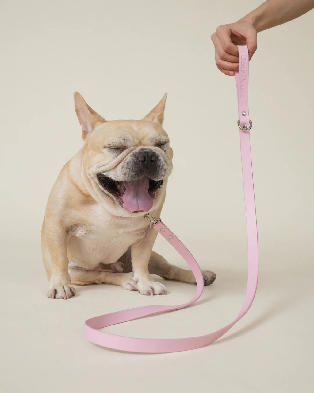 Princess Leash