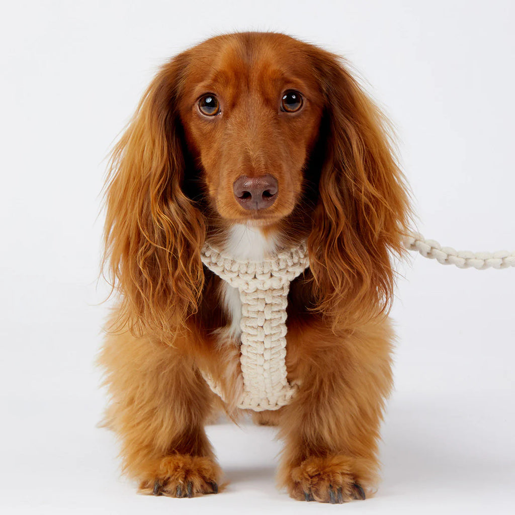 Macramé Originals Harness - Natural