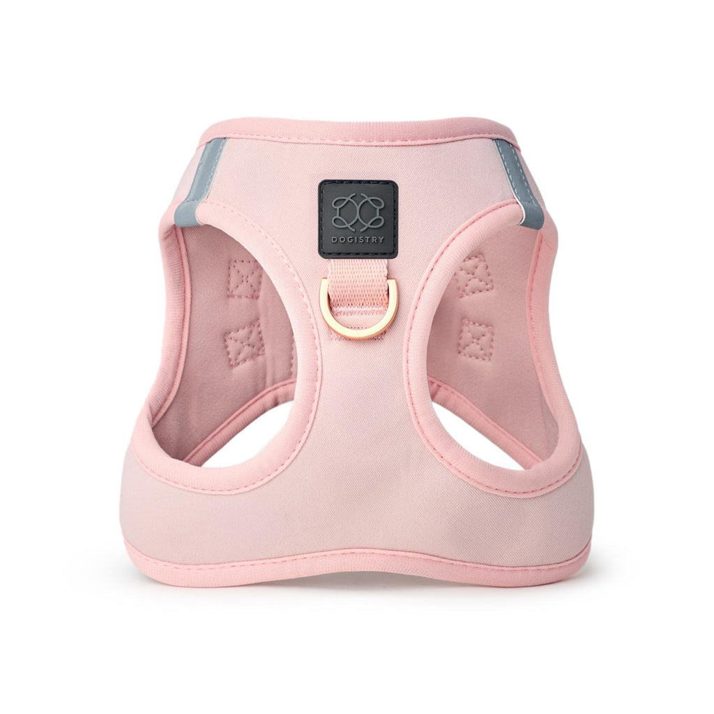 Soho Dog Walking Set - Blush Pink