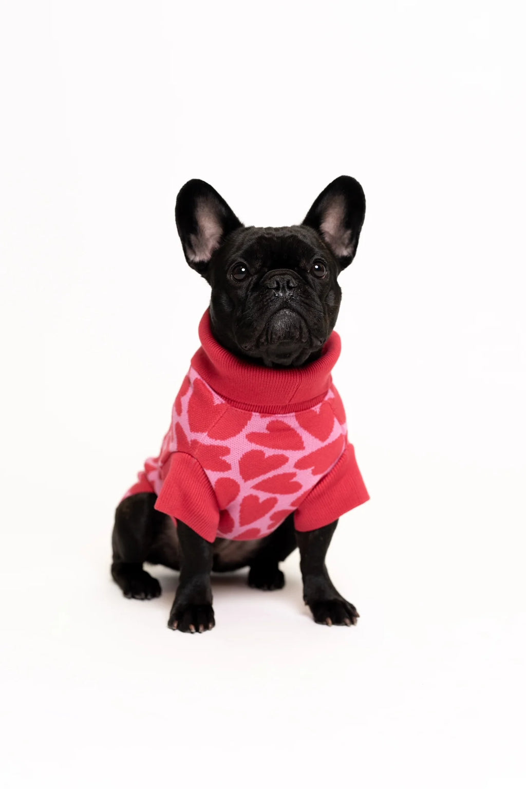 Dog Sweater Pink Hearts