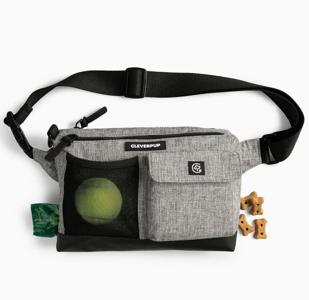 Hands-Free Dog Walking & Training Bag