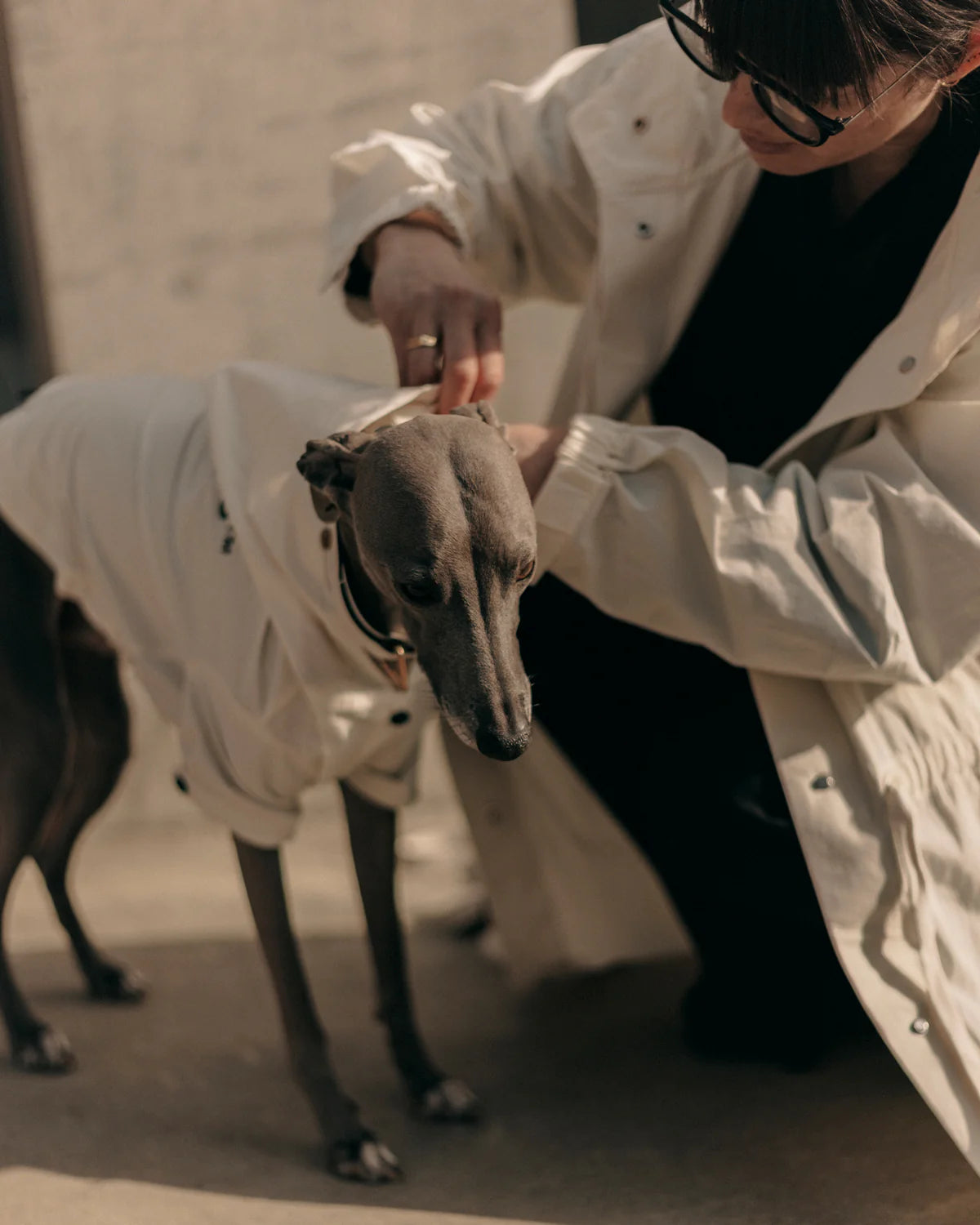 Logo Light Dog Coat - OYSTER