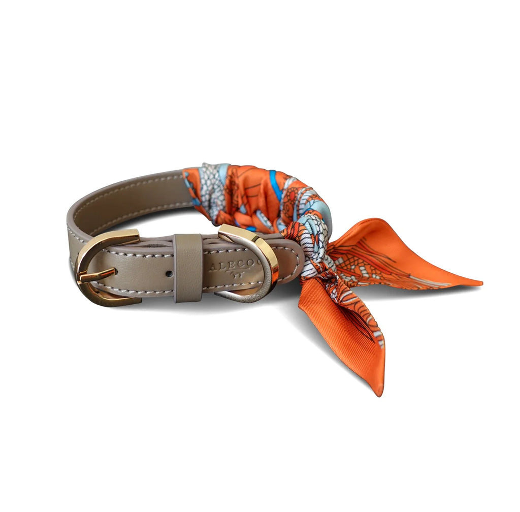 Dog Collar Twilly Paris - Orange