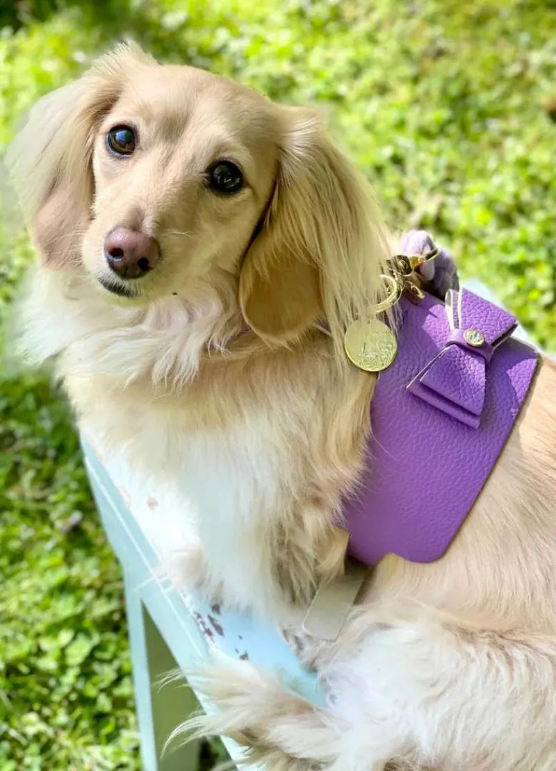 Handcrafted Leather Harness