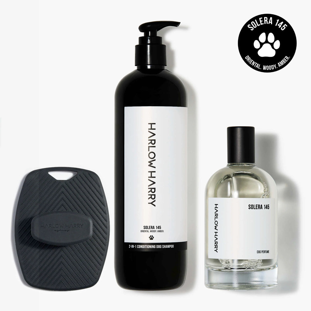 The Bougie-Est Dog Bundle