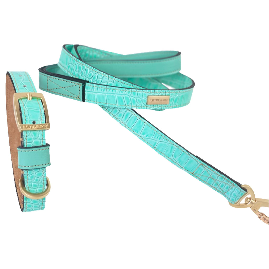 Cayman Dog Leash in Turquoise