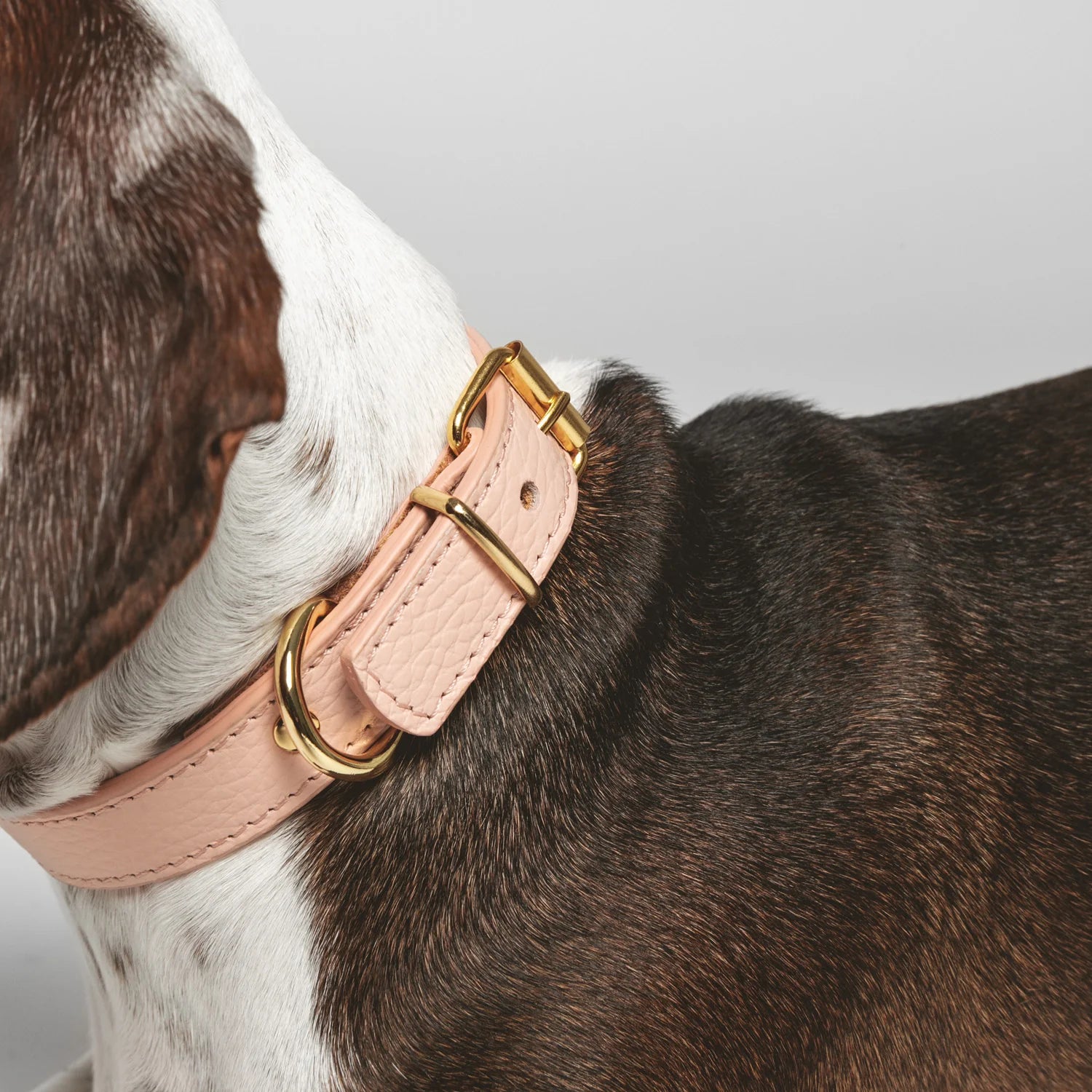 Peach Leather Juno Dog Collar