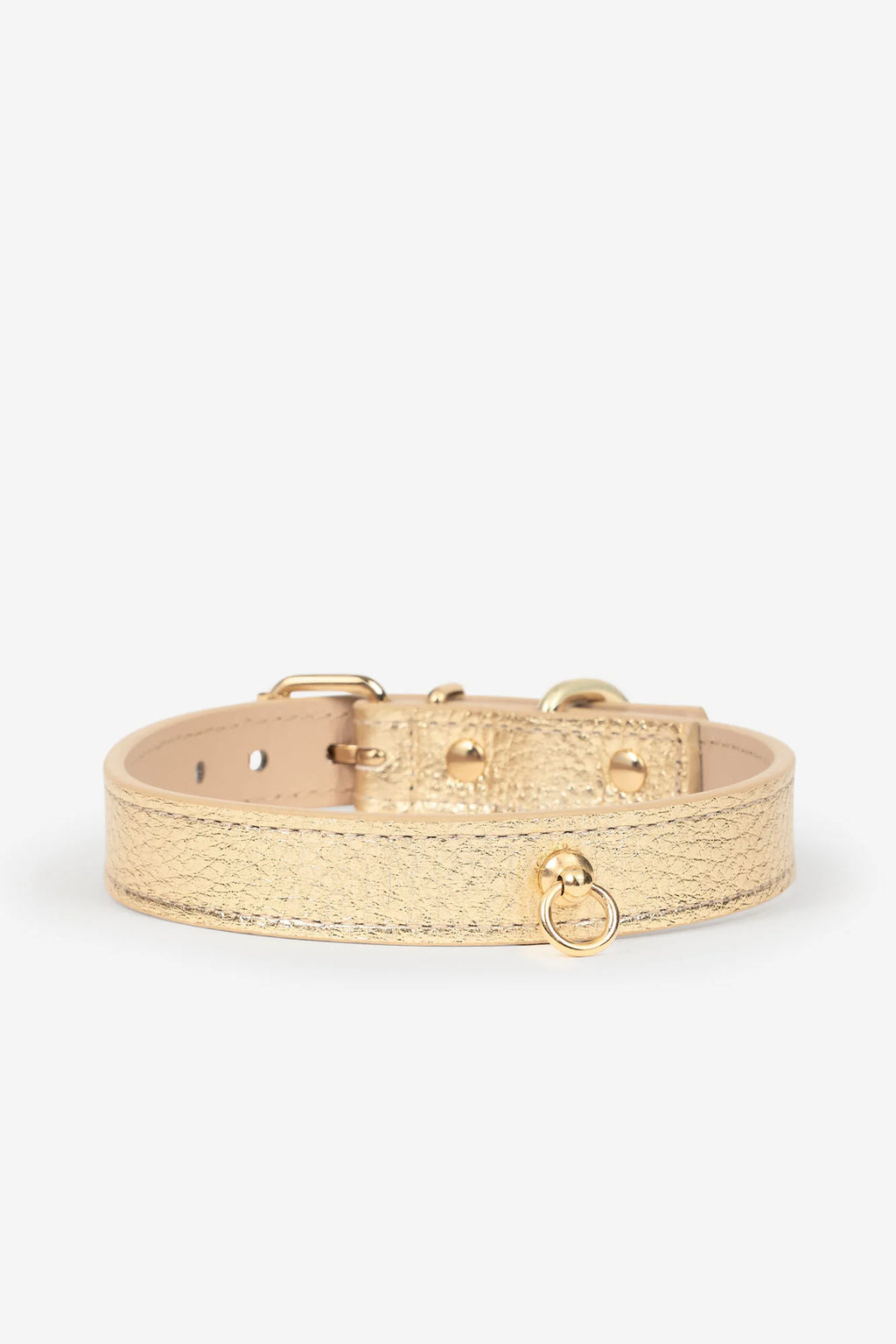 Golden Metal Dog Collar