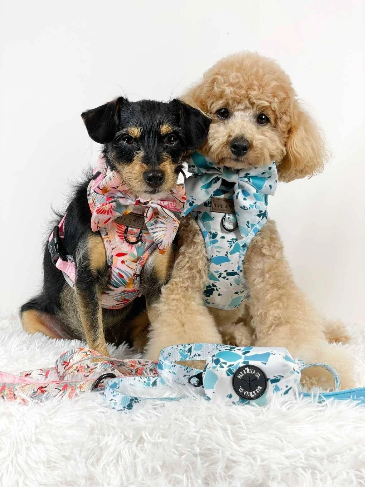 Sky Terrazzo Designer Dog Harness Set