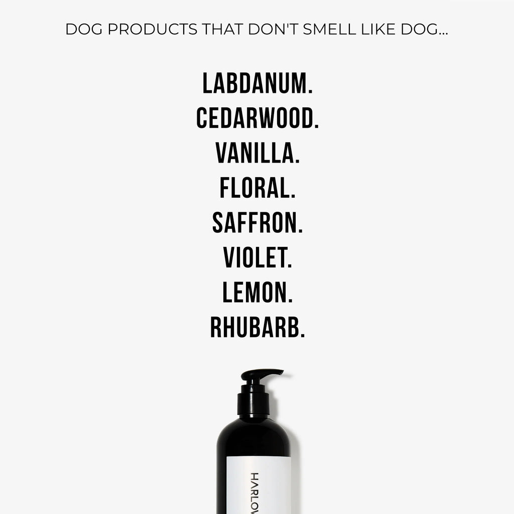 Conditioning Shampoo | D'Bacca 169