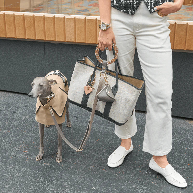 Sand Leather Dog Leash