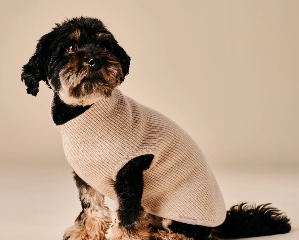Ellie Sweater – Beige