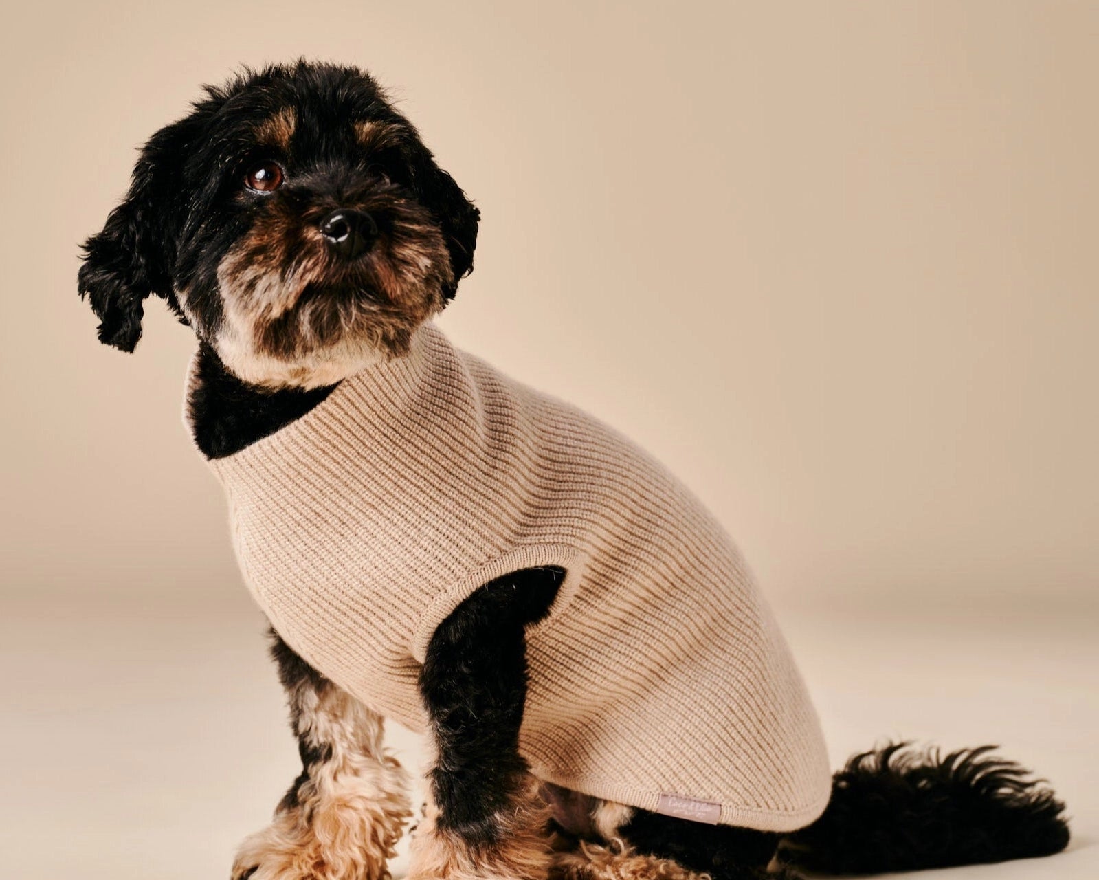 Ellie Sweater – Beige