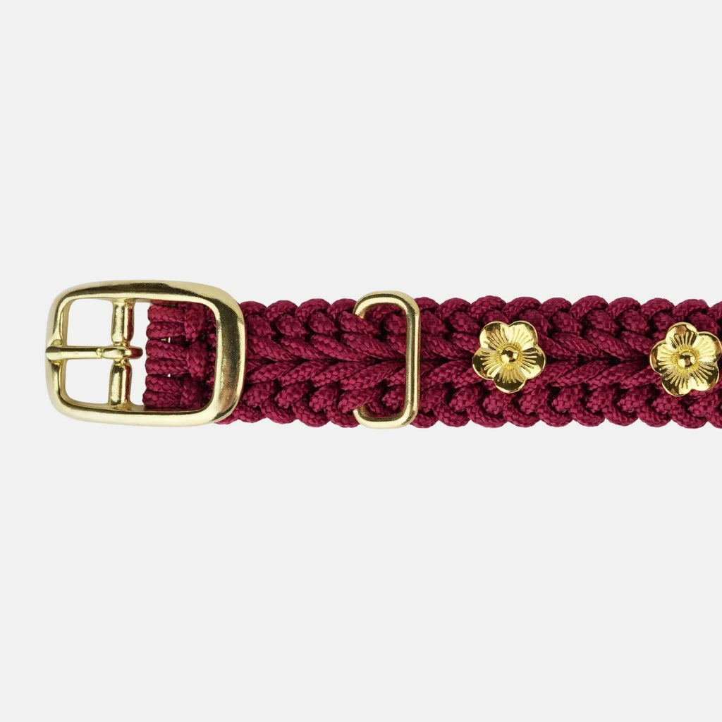Flor Scarlet Red Collar