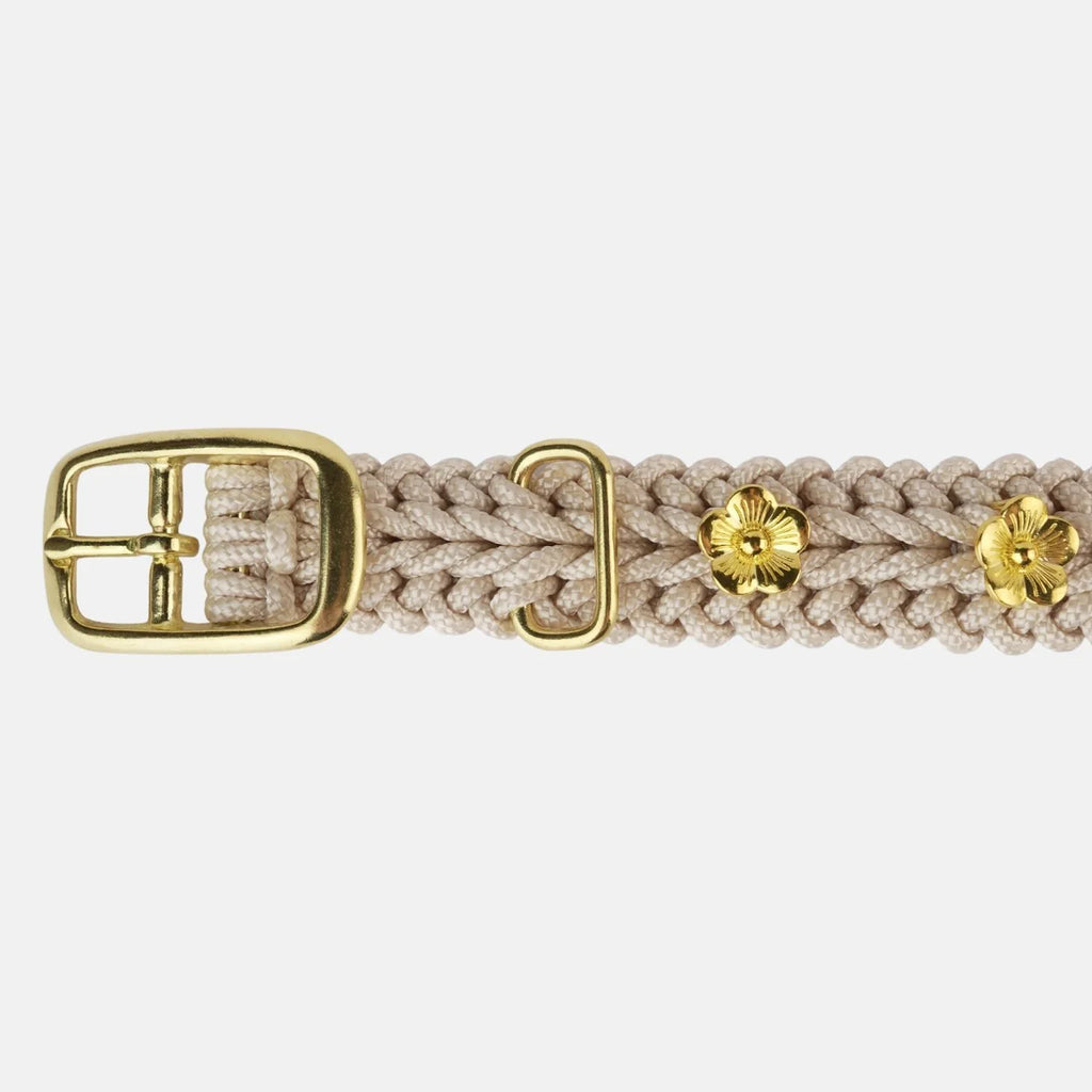 Flor Cream Collar