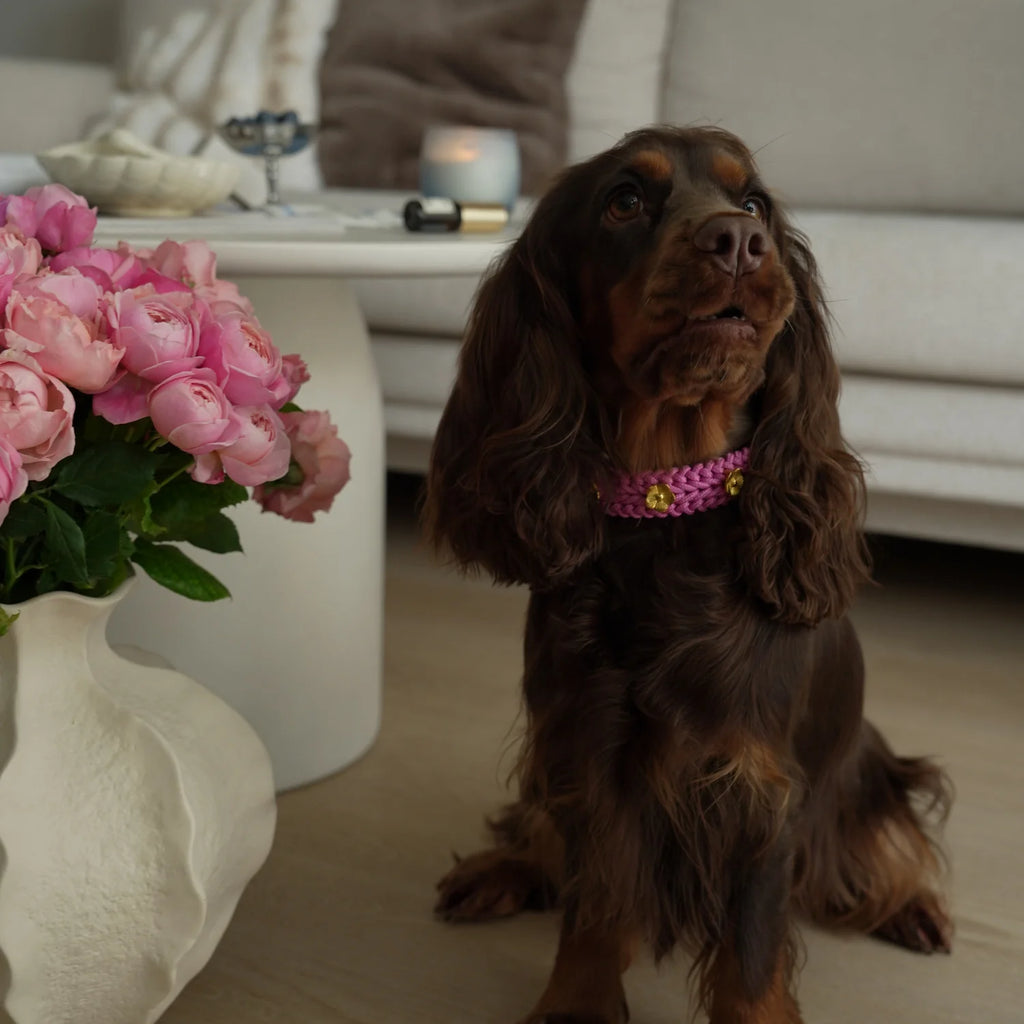 Flor Bubblegum Collar