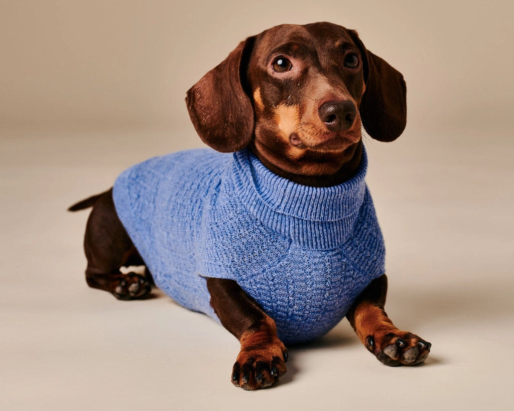 Coco Sweater – Blue